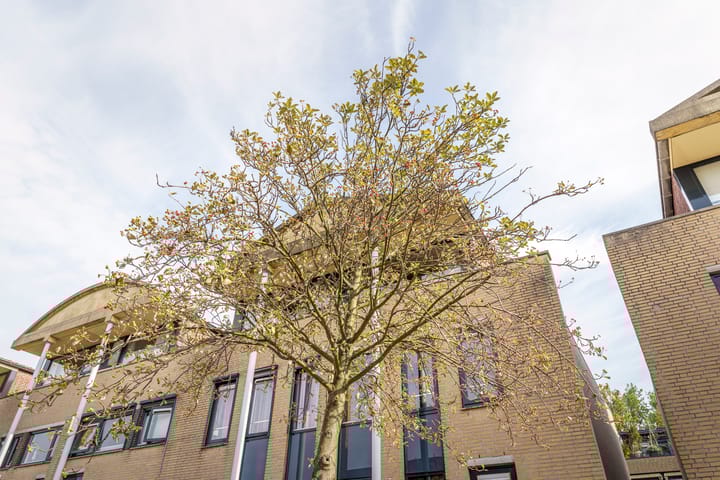 Foto 20 van Hof van Zilverlicht 61