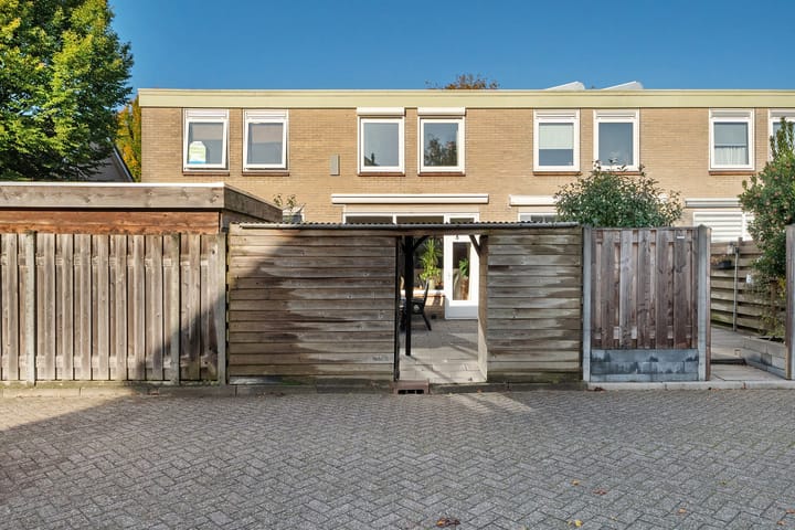 undefined main image