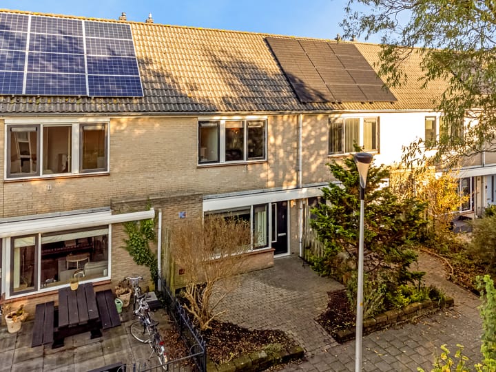 Foto 1 van Meerkoet 37