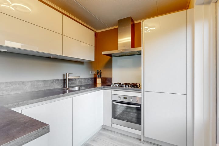 Foto 3 van Meerkoet 37