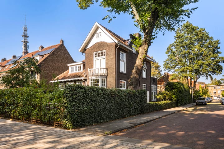 Foto 1 van Westerlaan 10