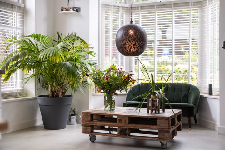 Foto 22 van Westerlaan 10