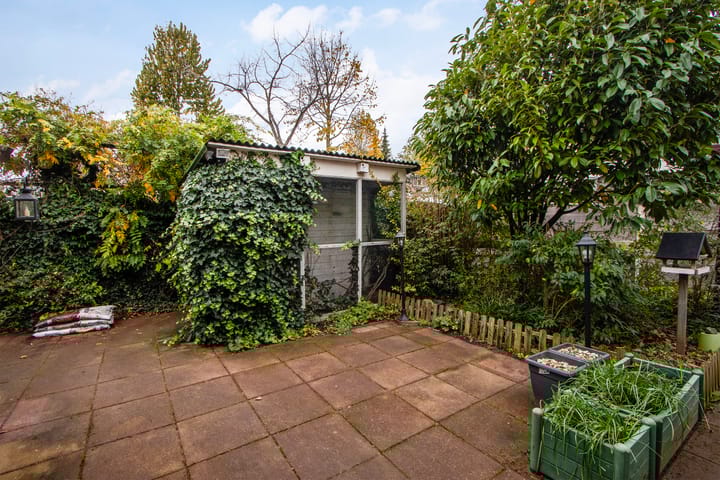 Foto 29 van Suze Groeneweg-erf 430