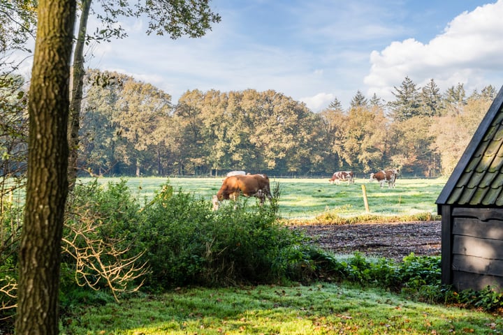 Bekijk foto 52 van Het Carré 10