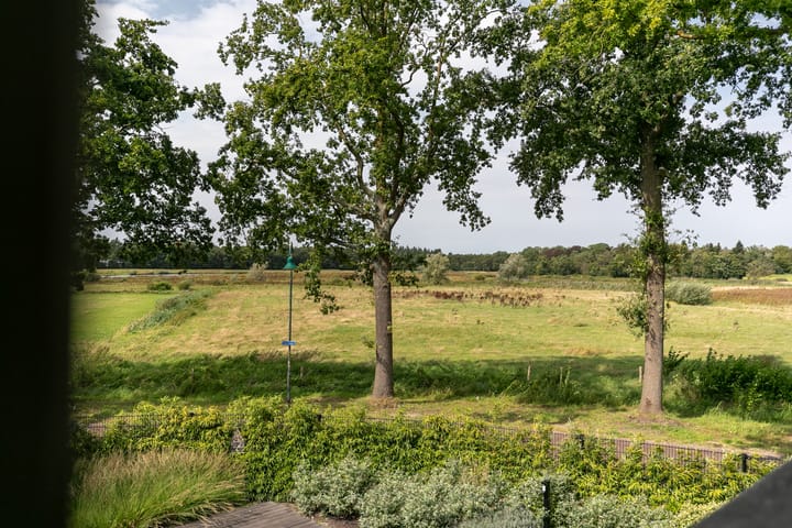 Foto 70 van Markdal 6