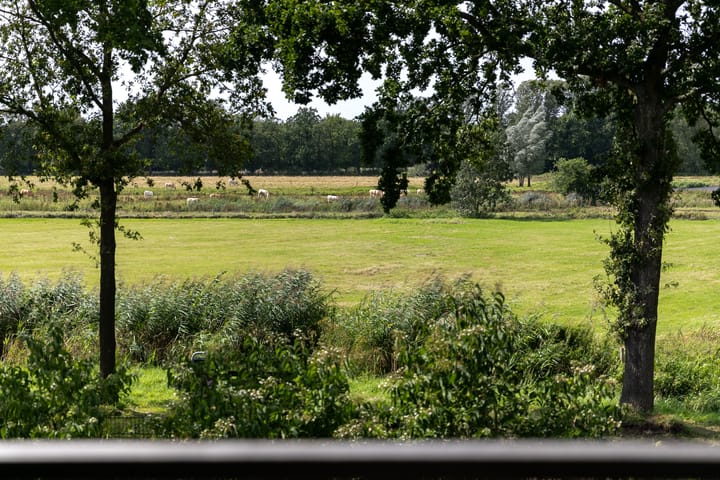 Foto 71 van Markdal 6