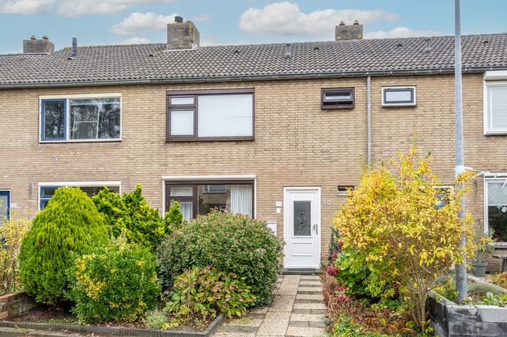 Foto 1 van Alexanderstraat 30