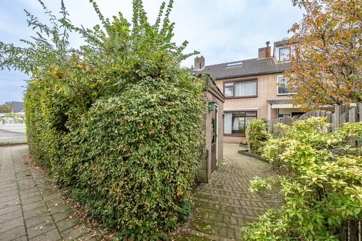 Foto 2 van Alexanderstraat 30