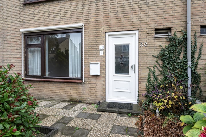 View photo 5 of Alexanderstraat 30