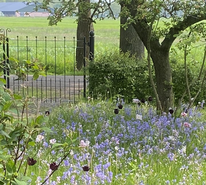 Foto 53 van Schansdijk 3