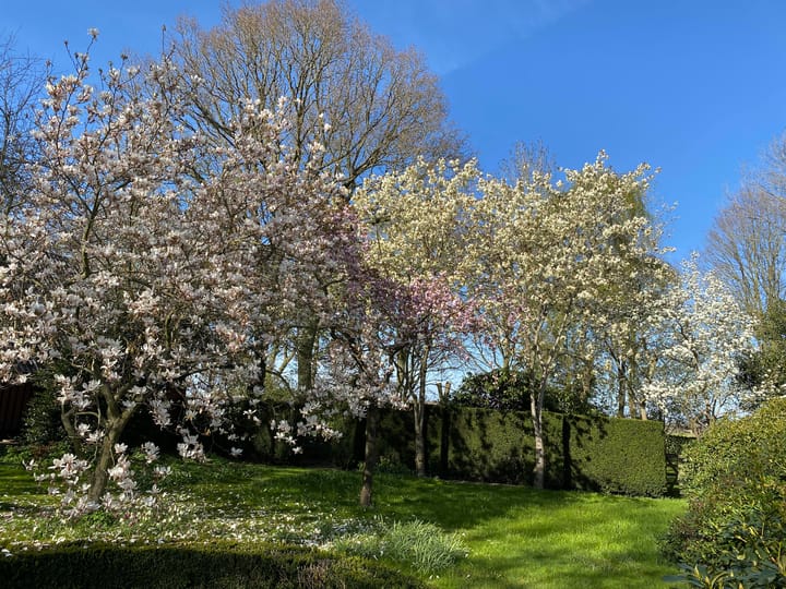 Foto 4 van Schansdijk 3