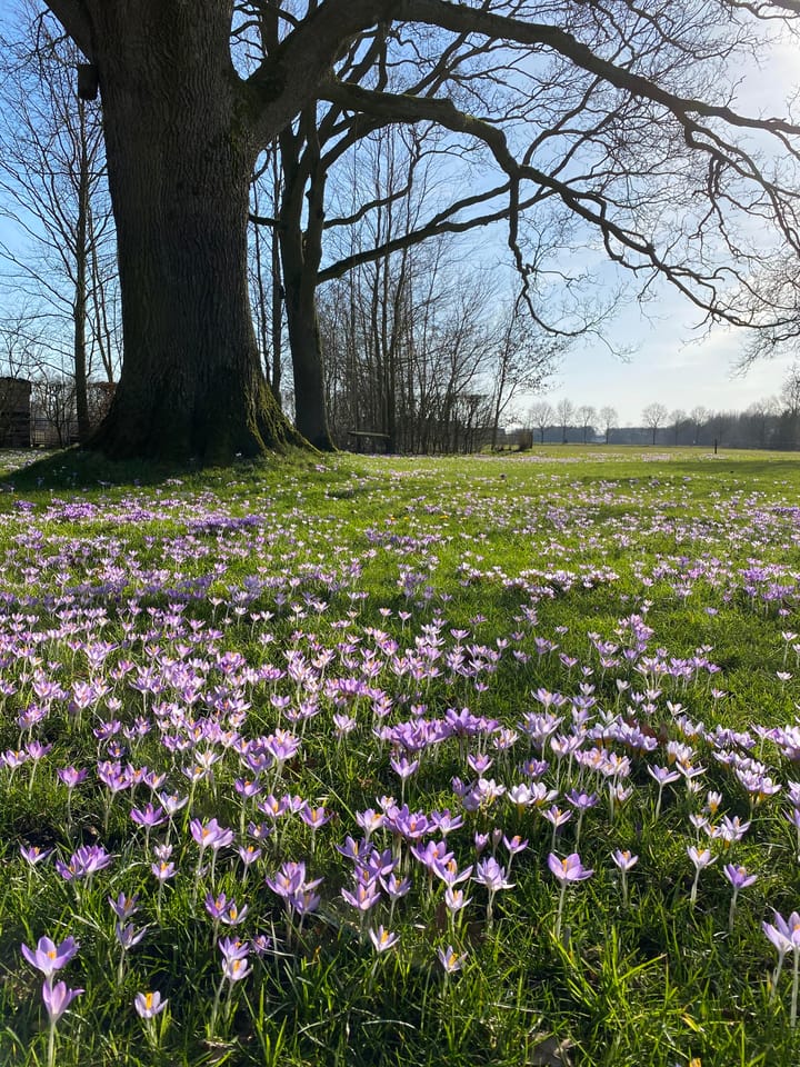 Foto 54 van Schansdijk 3