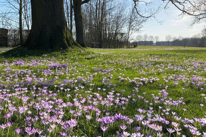 Bekijk foto 54 van Schansdijk 3