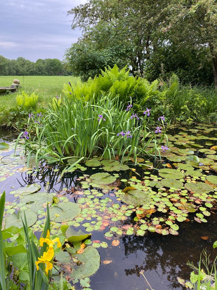 Foto 55 van Schansdijk 3