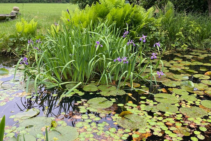 Bekijk foto 55 van Schansdijk 3