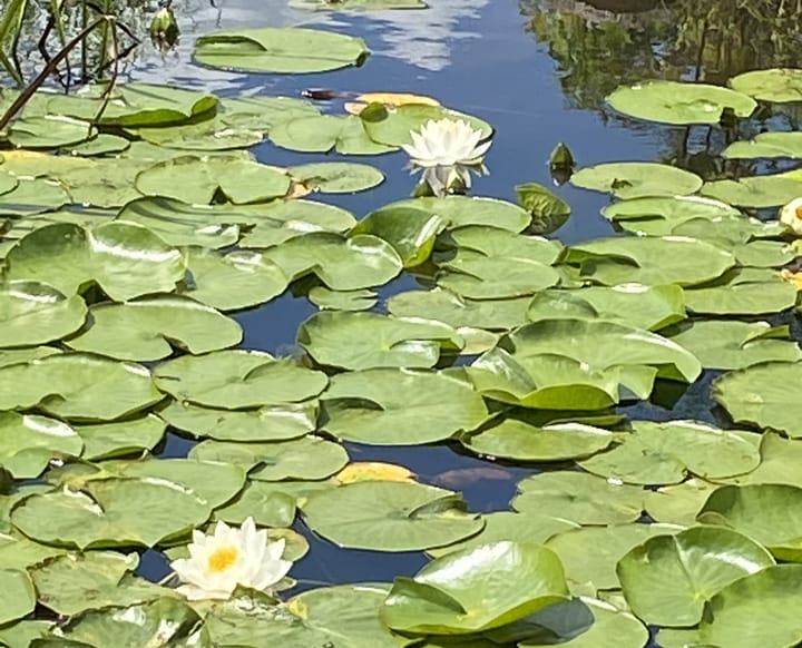 Foto 56 van Schansdijk 3