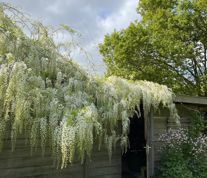 Foto 58 van Schansdijk 3