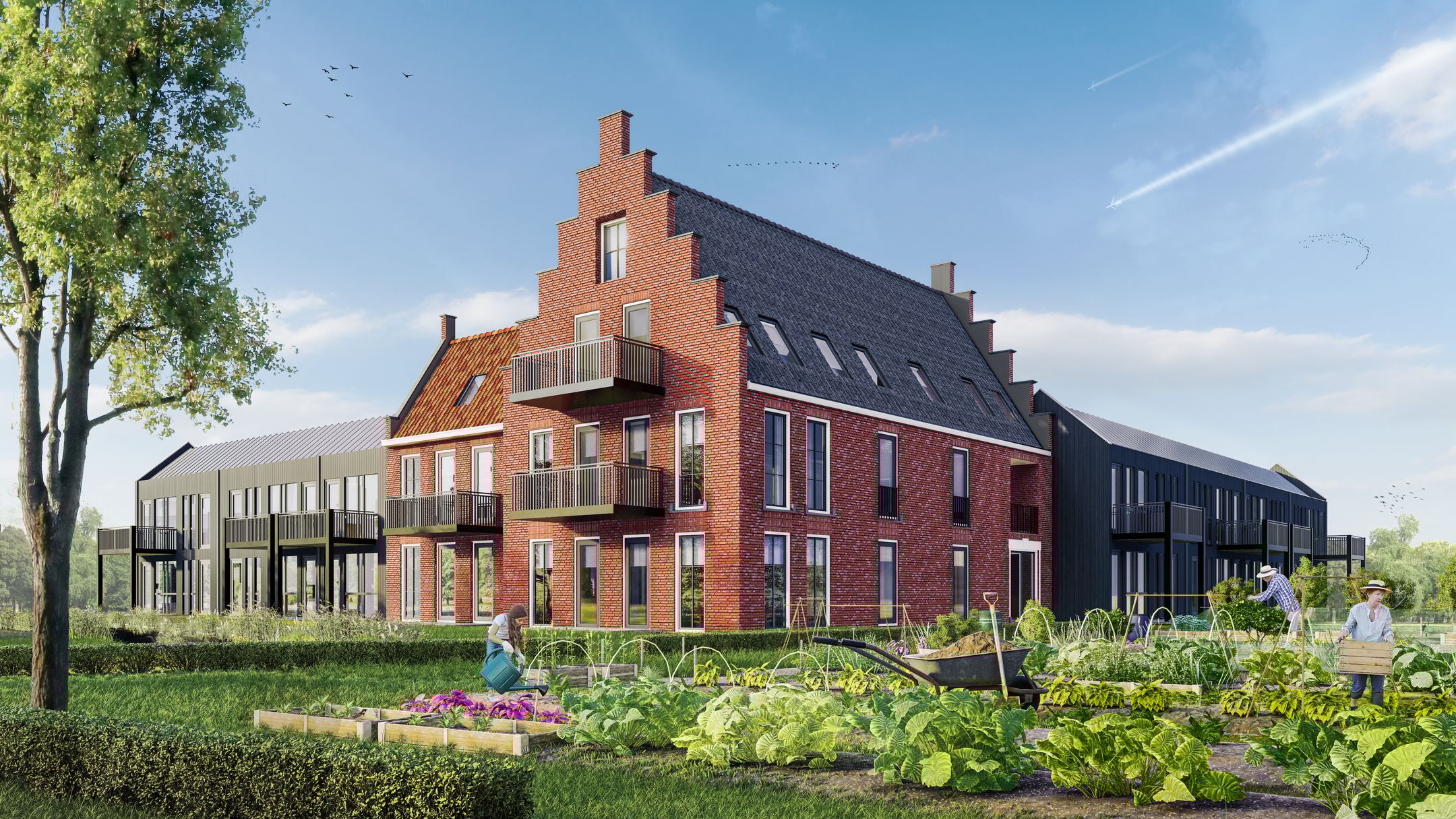 Foto van Burmaniastate