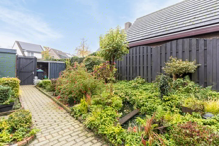 Foto 28 van Merketon 8