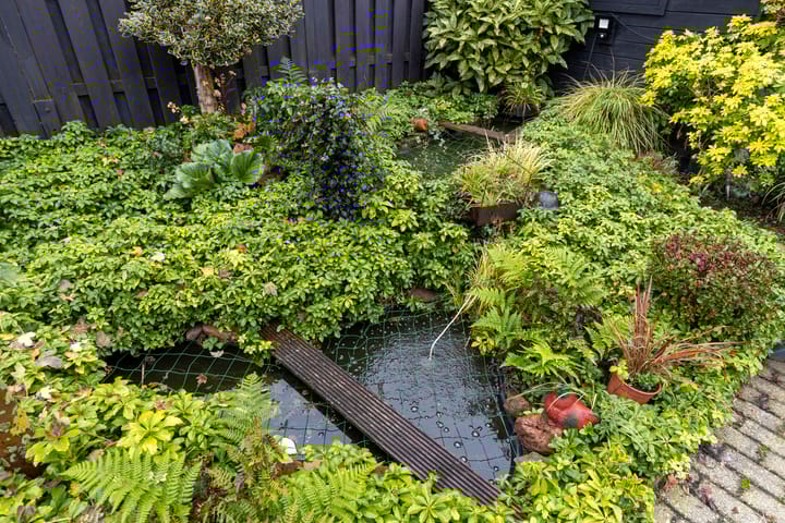 Foto 29 van Merketon 8