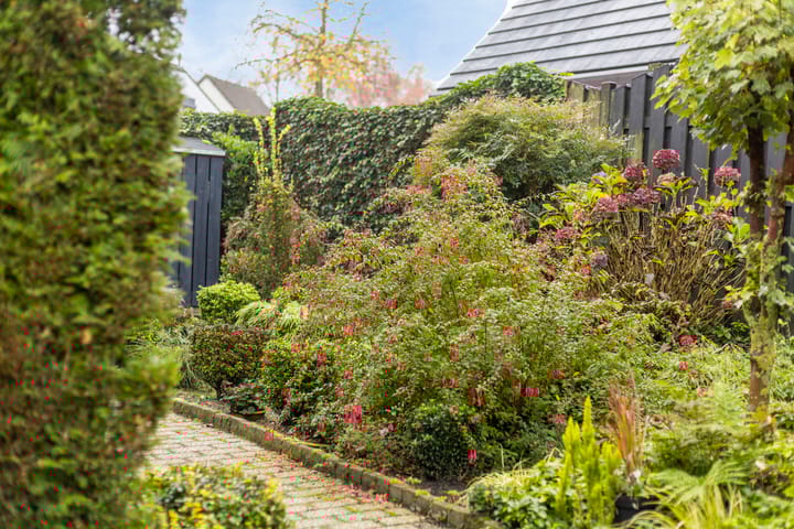 Foto 30 van Merketon 8