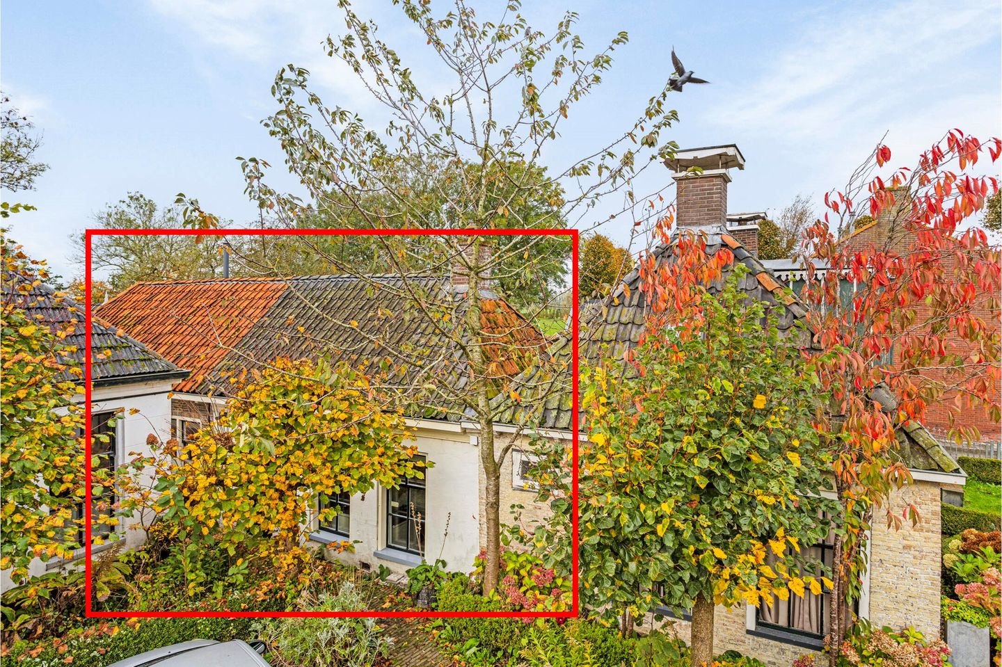 Photo 1 of Buorren 6