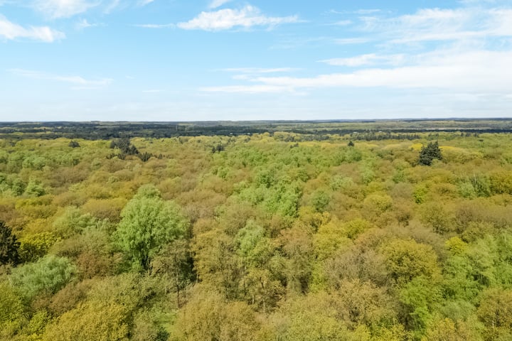 Bekijk foto 36 van Koningsberg 64