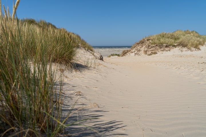 Bekijk foto 4 van Kemphaansduin 206