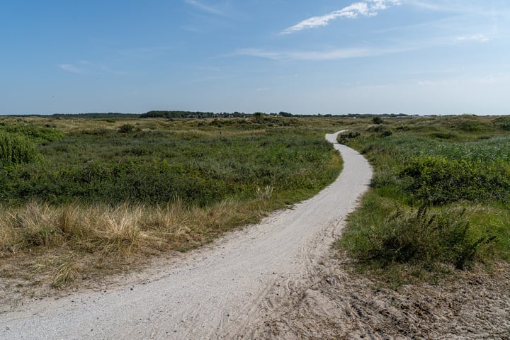 Bekijk foto 36 van Kemphaansduin 206