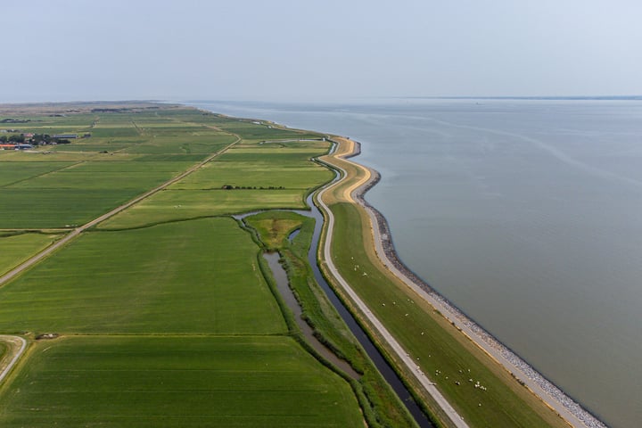 Bekijk foto 46 van Kemphaansduin 206