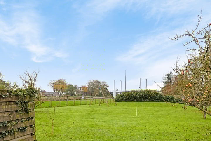 Foto 3 van Reindersbuorren 2