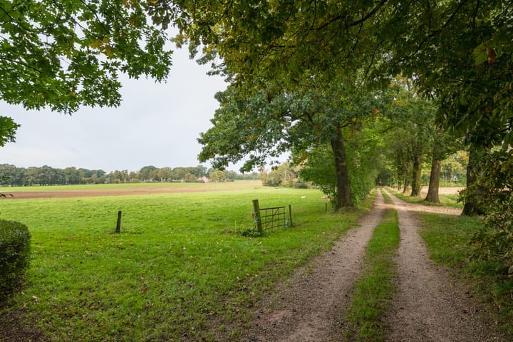 Foto 7 van Slaadijk 14