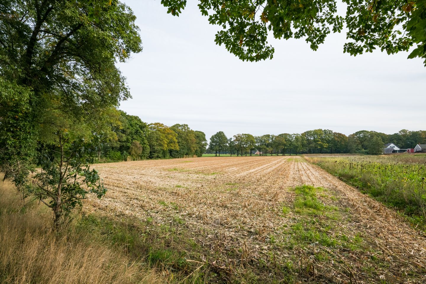 Foto 55 van Slaadijk 14