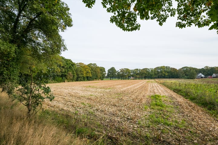 Foto 55 van Slaadijk 14