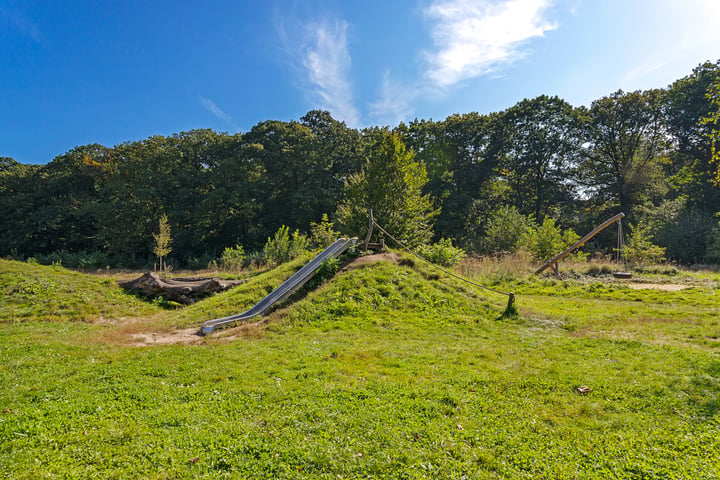 Bekijk foto 48 van Driehuizerweg 332