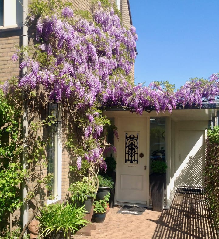 Foto 7 van Aalsburg 2402