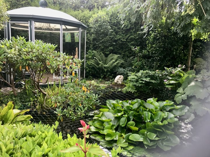 Foto 40 van Aalsburg 2402