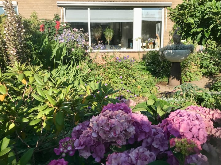 Foto 49 van Aalsburg 2402