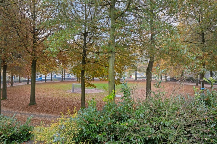 Foto 24 van Mandolinestraat 10