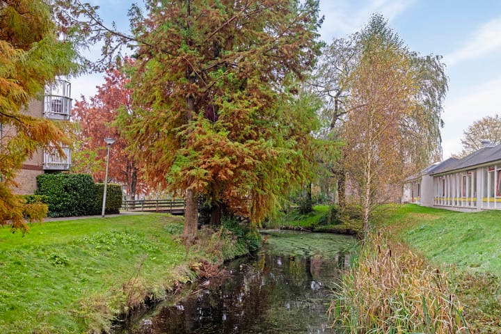 Foto 46 van Mandolinestraat 10