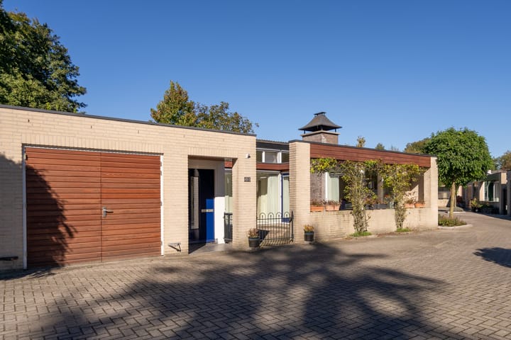undefined main image