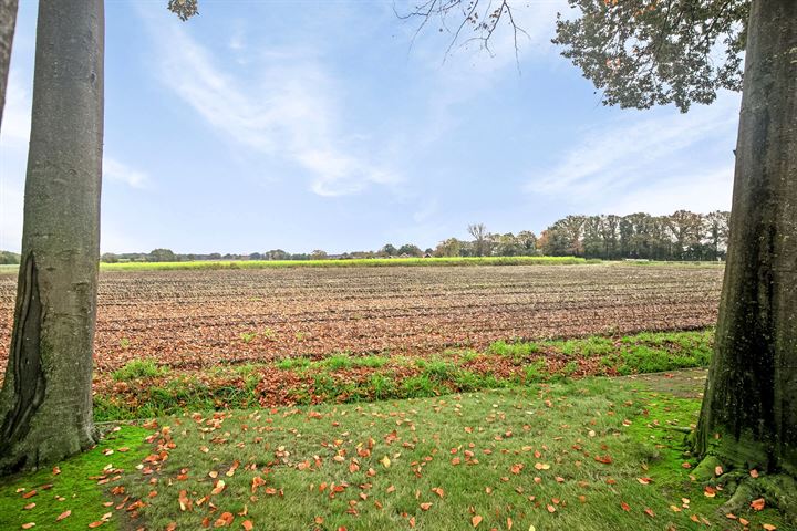 Bekijk foto 35 van Groothuizenweg 21