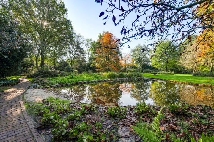 Foto 48 van Beukenlaan 10