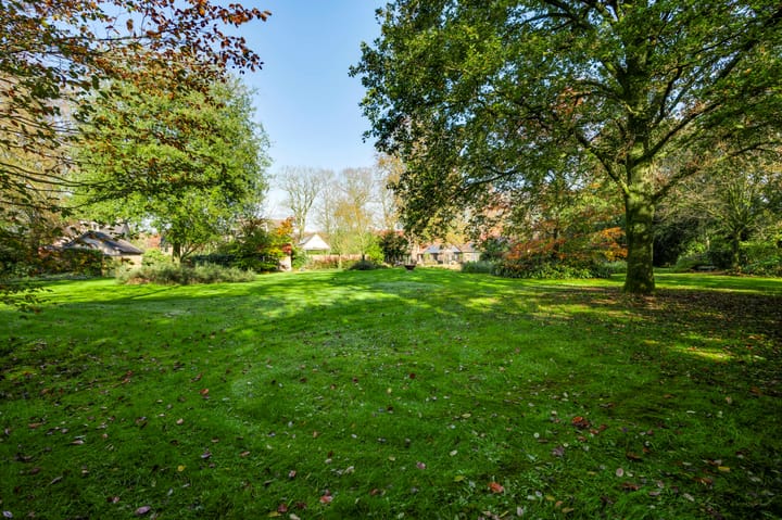 Foto 50 van Beukenlaan 10