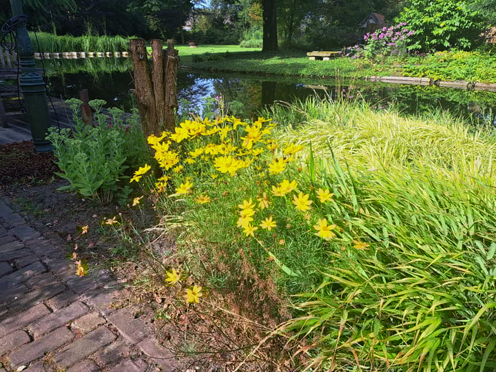 Foto 54 van Beukenlaan 10