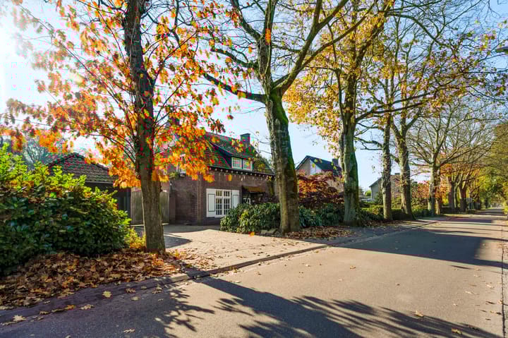 Foto 55 van Beukenlaan 10