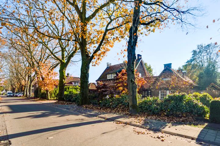 Foto 58 van Beukenlaan 10