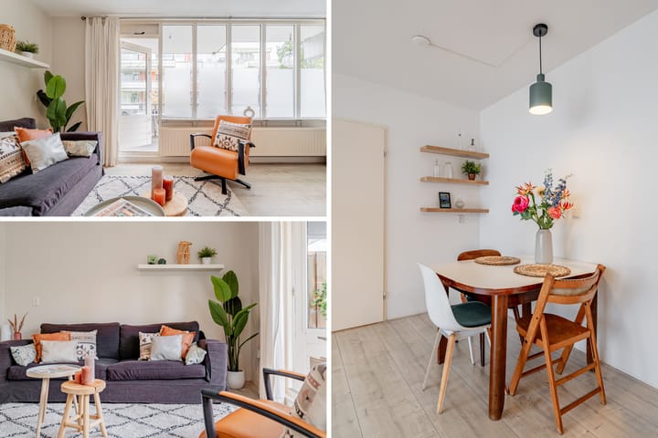 Foto 8 van Havikskruid 8