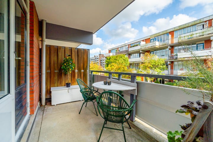 Foto 9 van Havikskruid 8