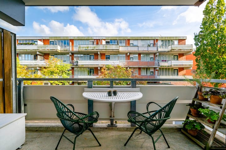 Foto 10 van Havikskruid 8